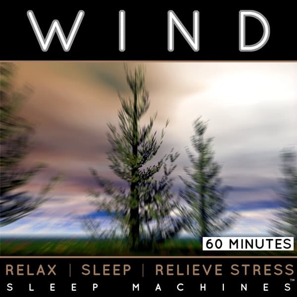 Wind