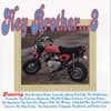 Hey Brother... Can You Spare Some Ska?, Vol. 3