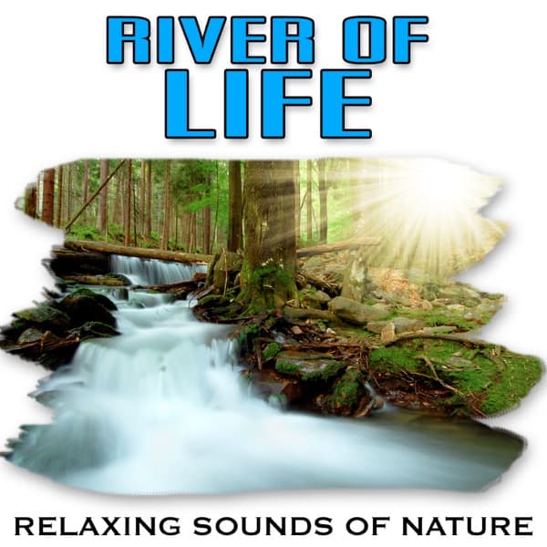 Relaxing Sounds of Nature