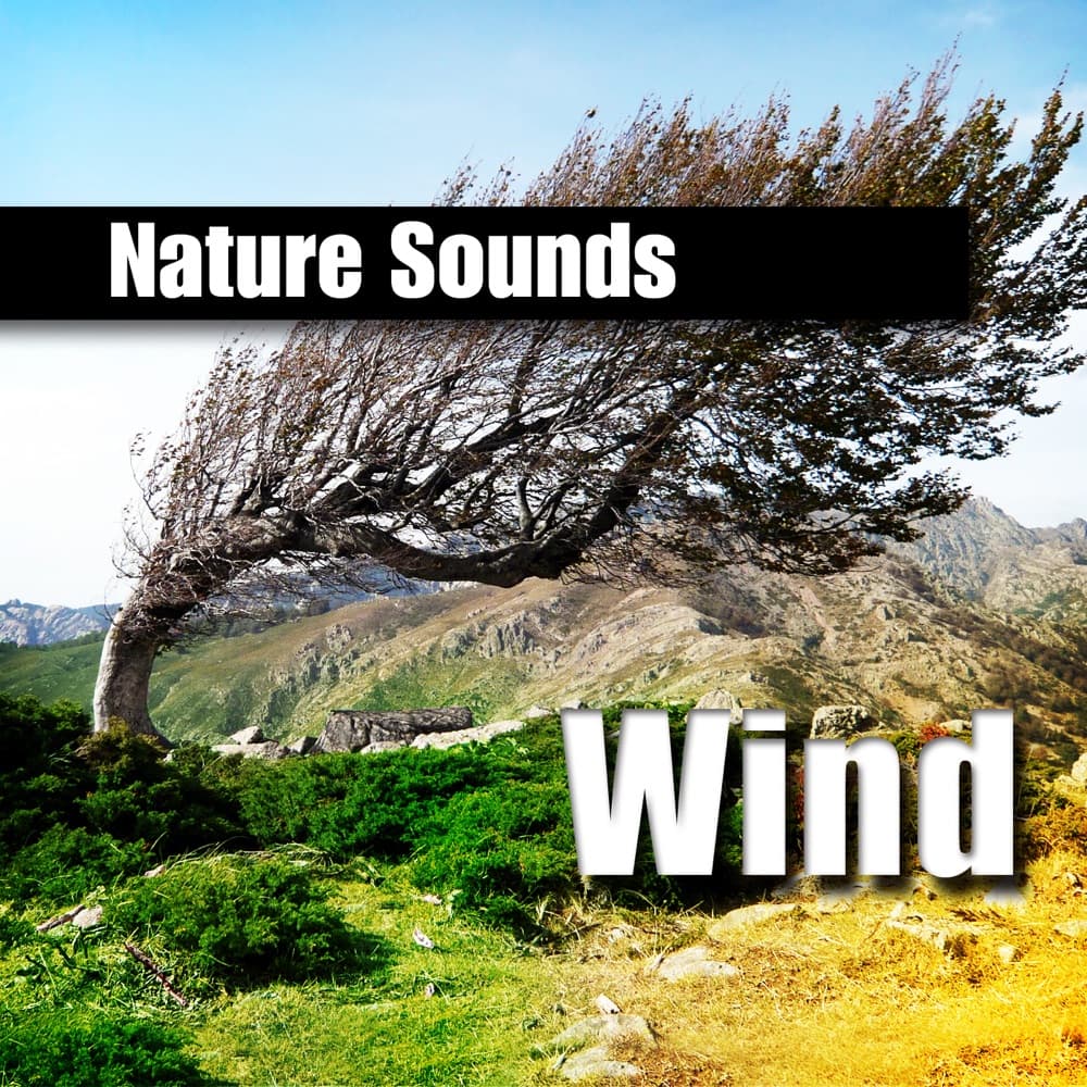 Wind
