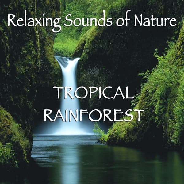 Relaxing Sounds of Nature - Tropical Rainforest