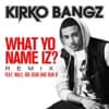 What Yo Name Iz? (Remix) [feat. Wale, Big Sean and Bun B] - Single