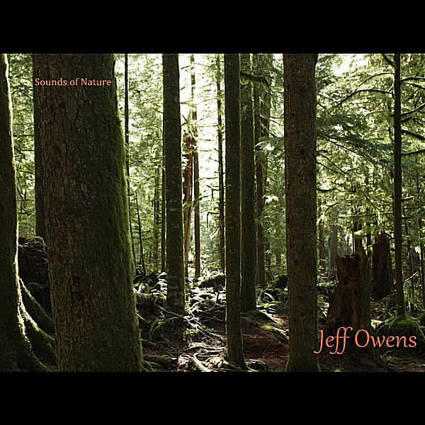 Sounds of Nature